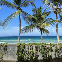 фото из отзыва ID 2383240