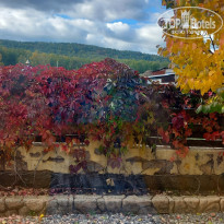 фото из отзыва ID 2383264