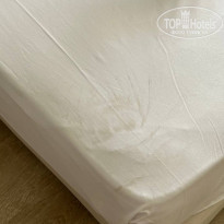 фото из отзыва ID 2383273