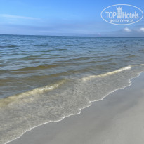 фото из отзыва ID 2382617