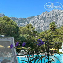 фото из отзыва ID 2383293