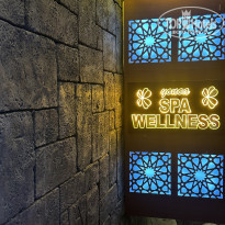 фото из отзыва ID 2383293