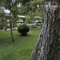 фото из отзыва ID 2383293