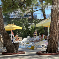 фото из отзыва ID 2383293