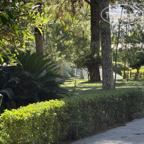 фото из отзыва ID 2383293