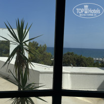 фото из отзыва ID 2383293