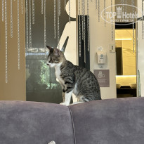 фото из отзыва ID 2383293