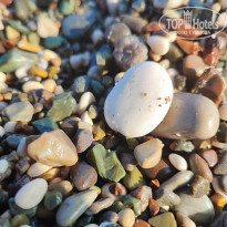 фото из отзыва ID 2383299