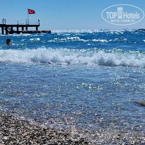 фото из отзыва ID 2383299