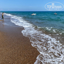 фото из отзыва ID 2383390