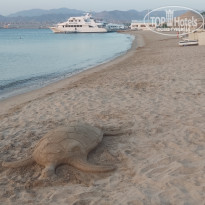 фото из отзыва ID 2383438