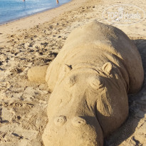 фото из отзыва ID 2383438