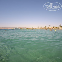 фото из отзыва ID 2383438