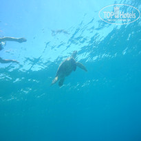 фото из отзыва ID 2383438