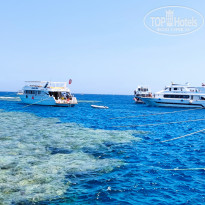 фото из отзыва ID 2383438