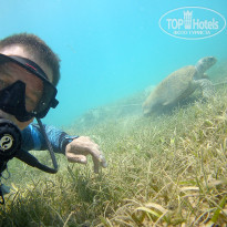 фото из отзыва ID 2383438