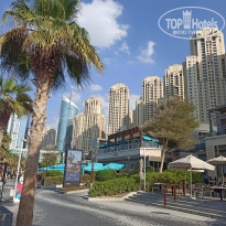 фото из отзыва ID 2383393