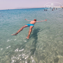 фото из отзыва ID 2382560