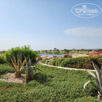 фото из отзыва ID 2382560