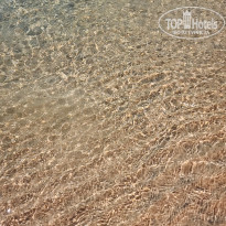 фото из отзыва ID 2382560