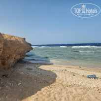 фото из отзыва ID 2382560