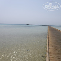 фото из отзыва ID 2382560