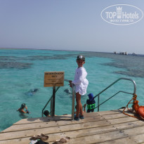 фото из отзыва ID 2382560