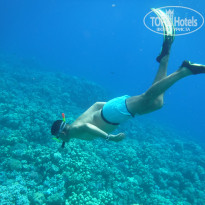 фото из отзыва ID 2382560