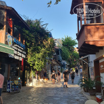 фото из отзыва ID 2383650