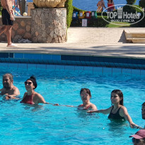 фото из отзыва ID 2383648