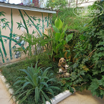 фото из отзыва ID 2383659