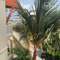 фото из отзыва ID 2383723