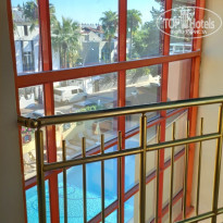 фото из отзыва ID 2383722