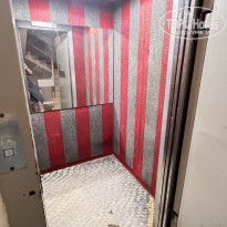 фото из отзыва ID 2383904