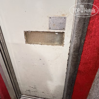 фото из отзыва ID 2383904