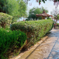 фото из отзыва ID 2384047