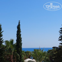 фото из отзыва ID 2384047