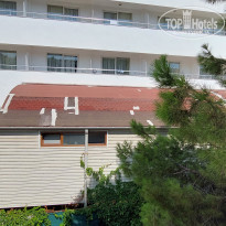 фото из отзыва ID 2384047