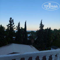 фото из отзыва ID 2384047