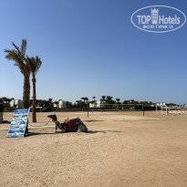 фото из отзыва ID 2384107