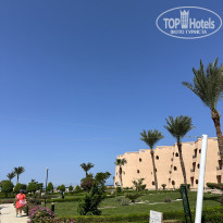 фото из отзыва ID 2384107