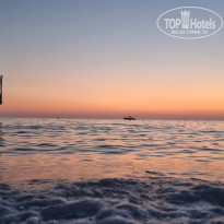 фото из отзыва ID 2384164