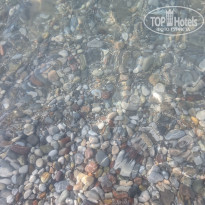 фото из отзыва ID 2384164