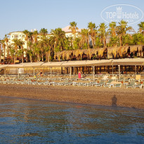 фото из отзыва ID 2384211