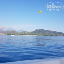 фото из отзыва ID 2384211