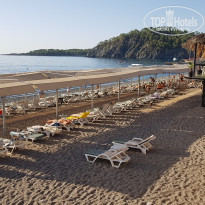 фото из отзыва ID 2384211