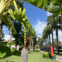 фото из отзыва ID 2384225