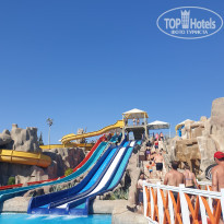 фото из отзыва ID 2384320