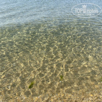 фото из отзыва ID 2384394