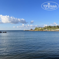 фото из отзыва ID 2384465